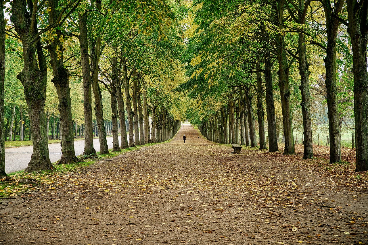 versailles